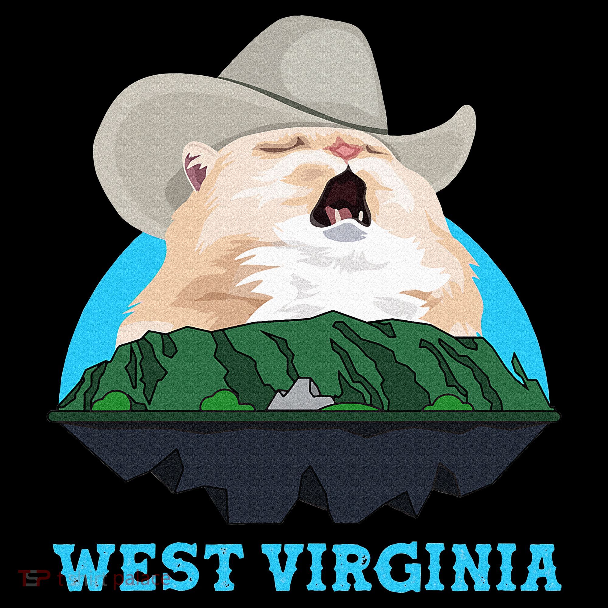 West Virginia Cowboy Cat Singing Meme Meowdy Women's Hoodie
