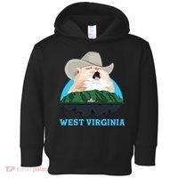 West Virginia Cowboy Cat Singing Meme Meowdy Toddler Hoodie thumb 0