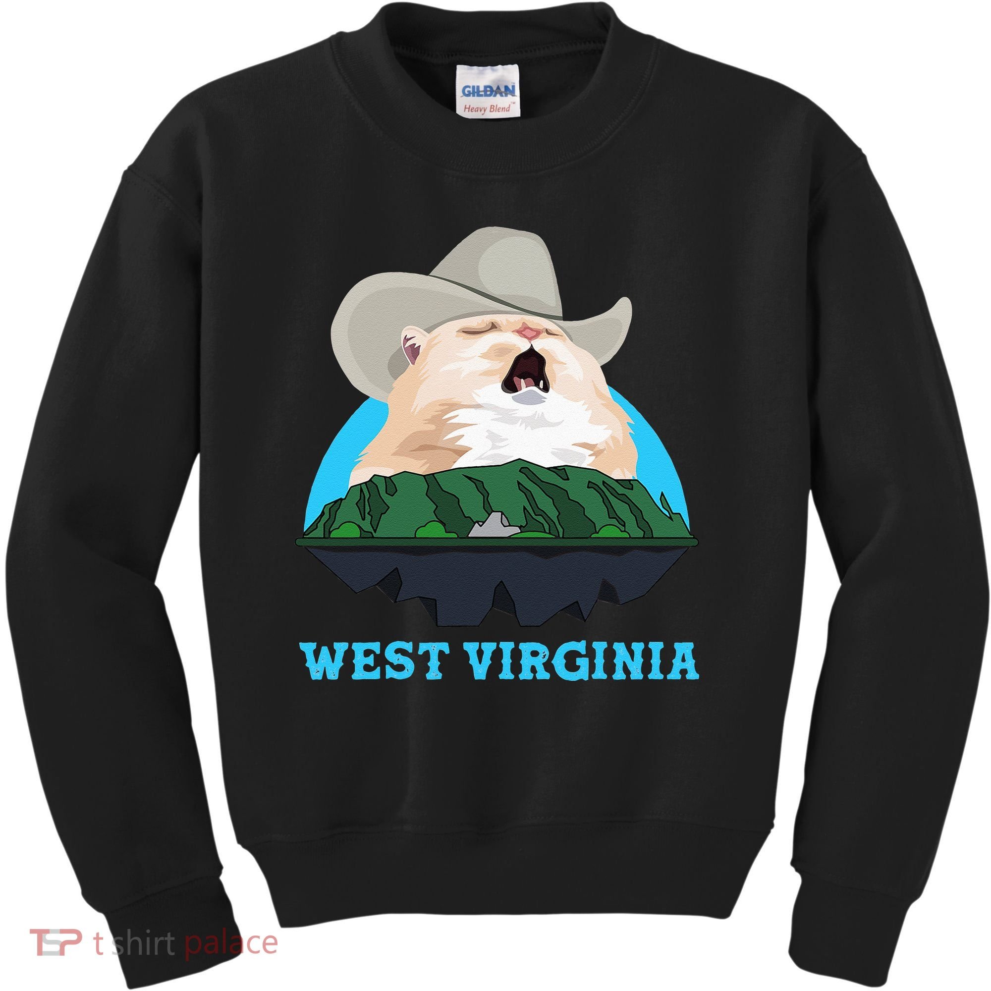 West Virginia Cowboy Cat Singing Meme Meowdy Kids Sweatshirt