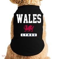 Wales Varsity Dragon  Doggie Tank thumb 0