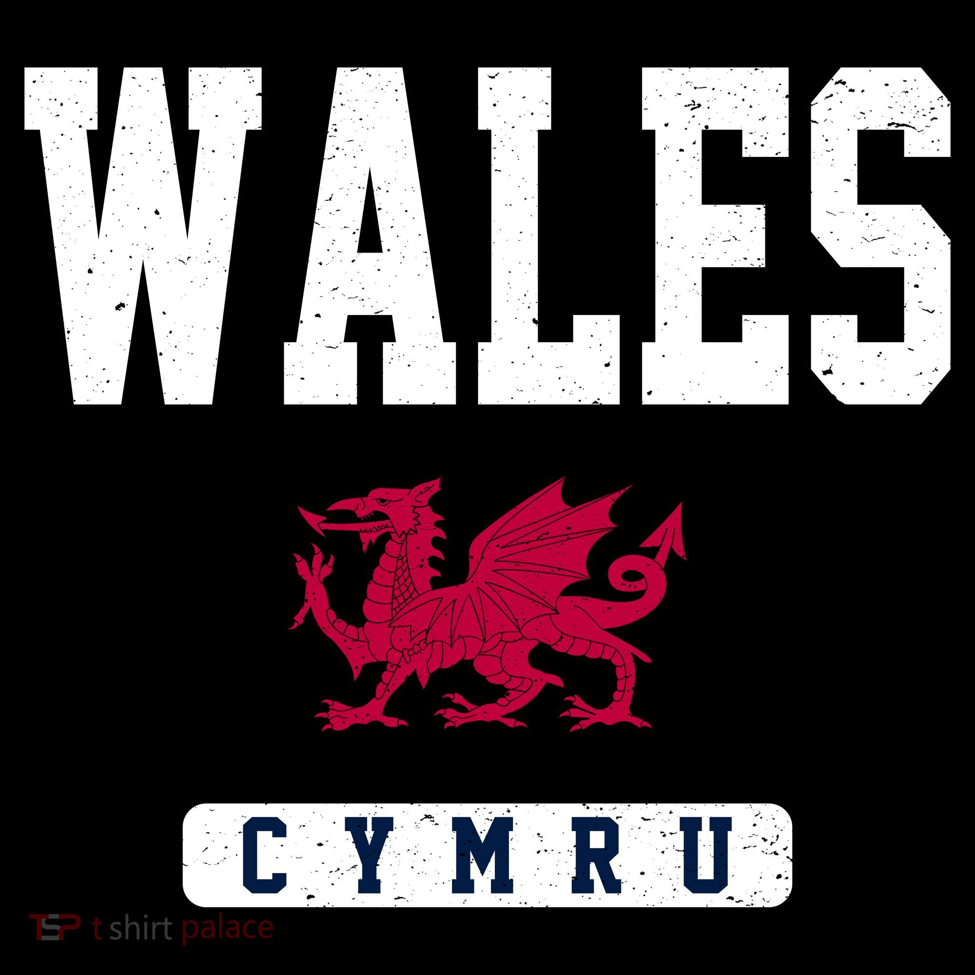 Wales Varsity Dragon  Women's Hoodie