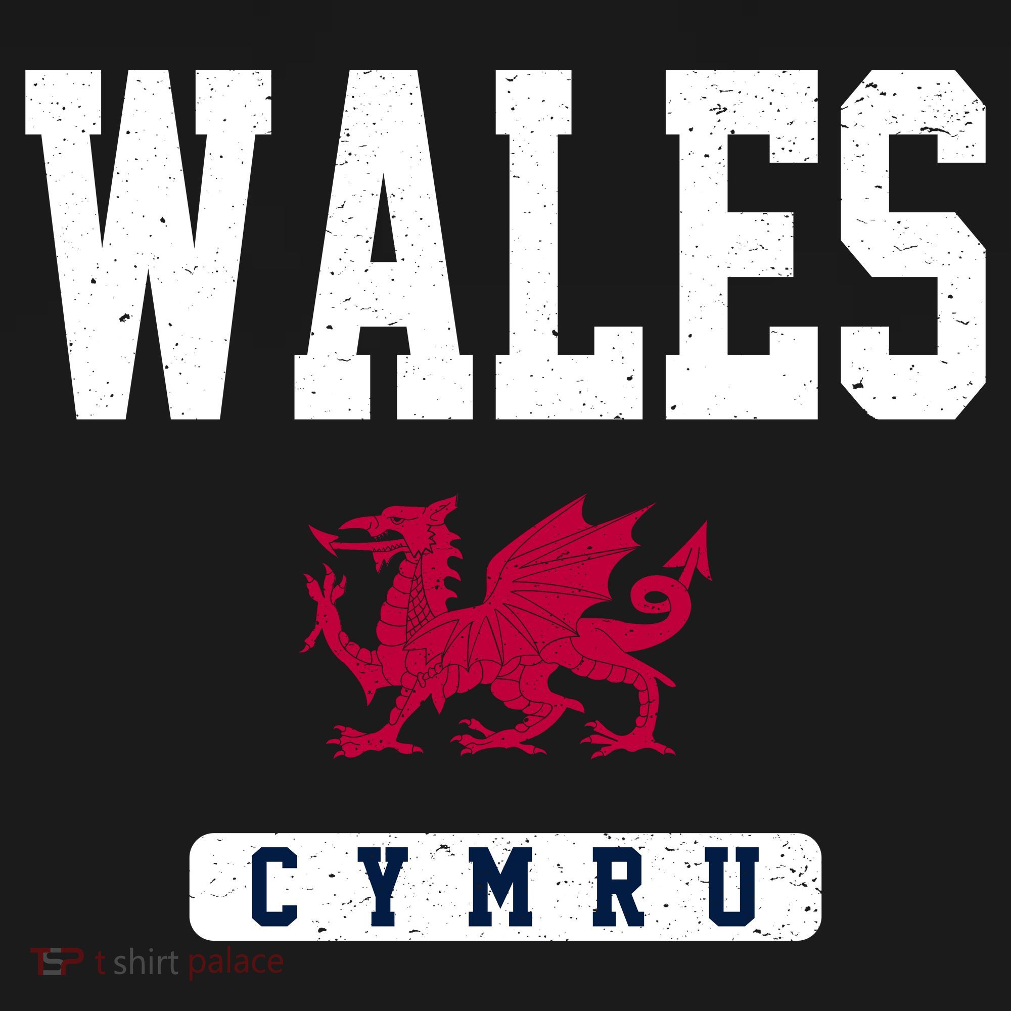 Wales Varsity Dragon  Baby Bodysuit