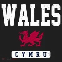 Wales Varsity Dragon  Hat thumb 2