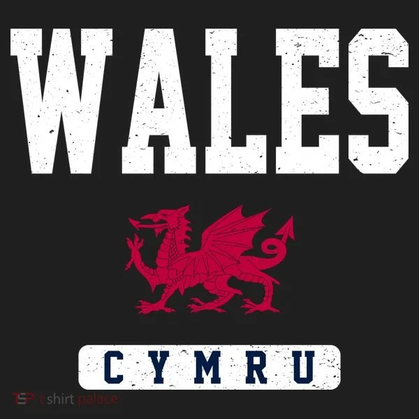 Wales Varsity Dragon  Hat
