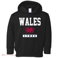 Wales Varsity Dragon  Toddler Hoodie thumb 0