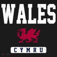 Wales Varsity Dragon  Tank Top thumb 6