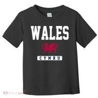 Wales Varsity Dragon  Toddler T-Shirt thumb 0