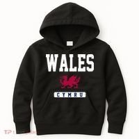 Wales Varsity Dragon  Kids Hoodie thumb 0