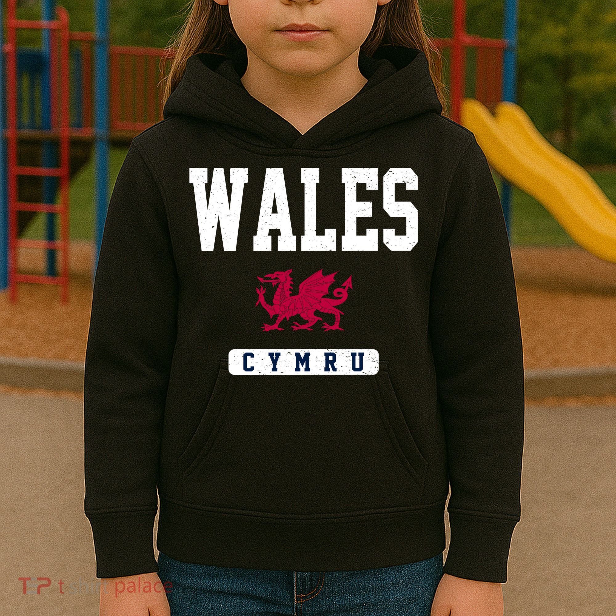 Wales Varsity Dragon  Kids Hoodie