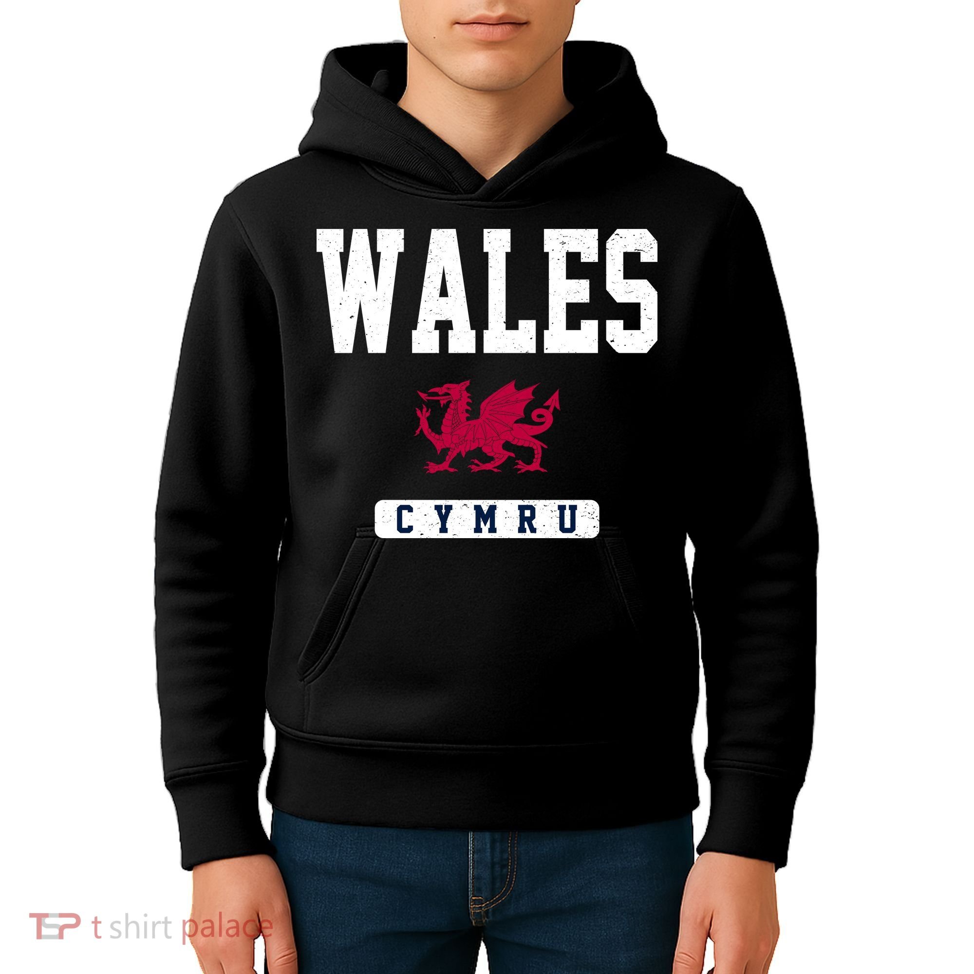 Wales Varsity Dragon  Kids Hoodie