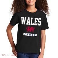 Wales Varsity Dragon  Kids T-Shirt thumb 2