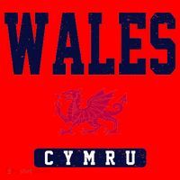 Wales Varsity Dragon  Santa Hat thumb 1