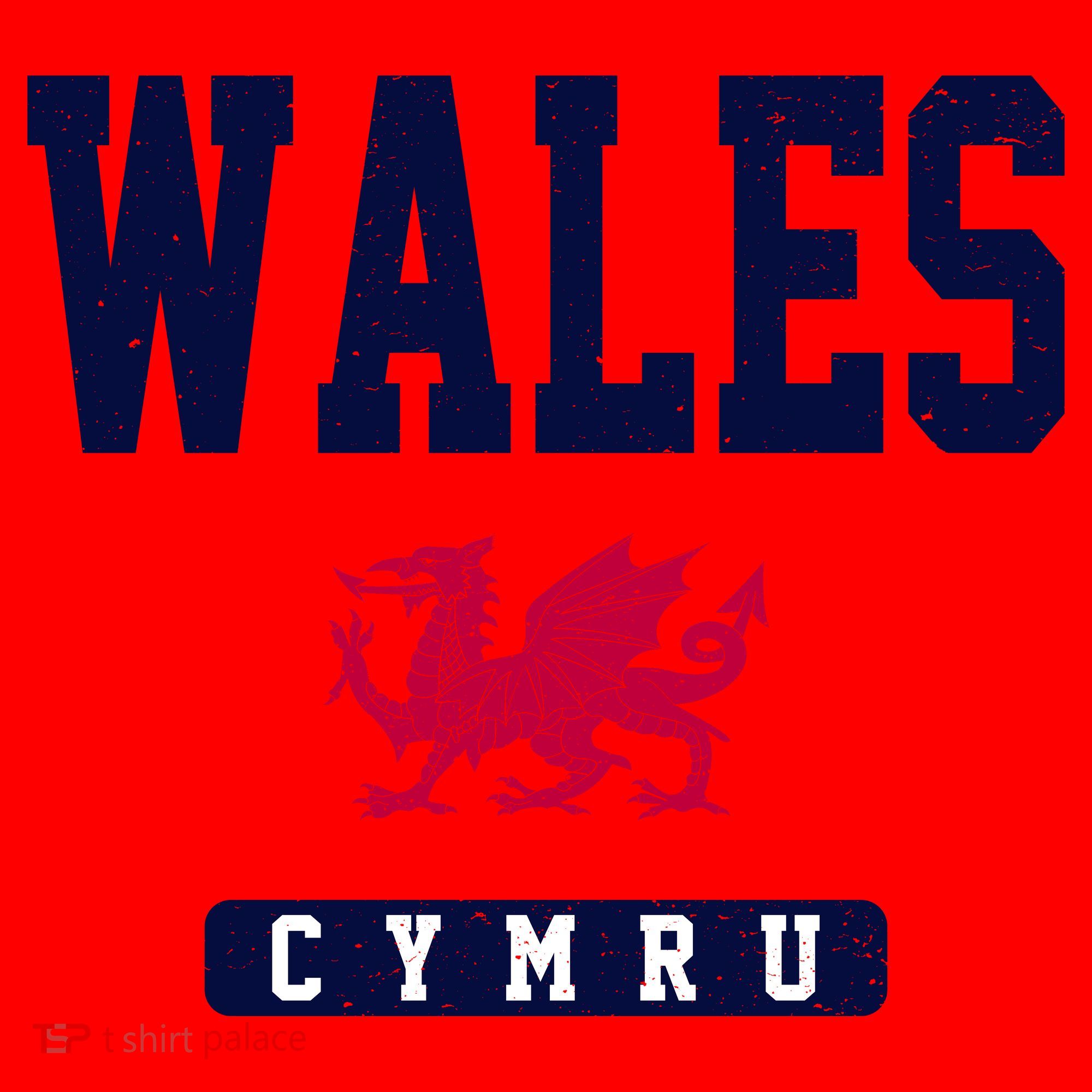 Wales Varsity Dragon  Santa Hat