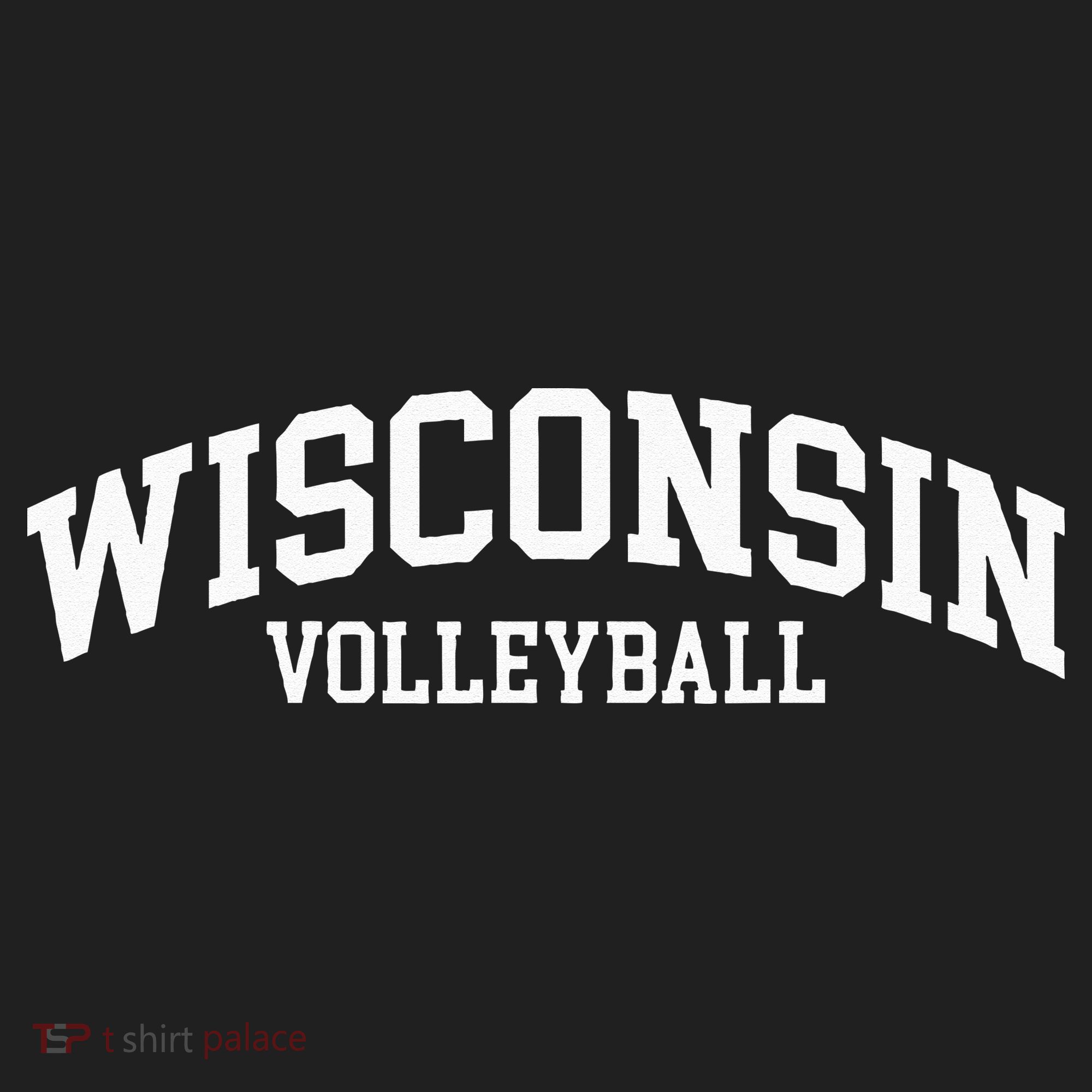 Wisconsin Volleyball Hat