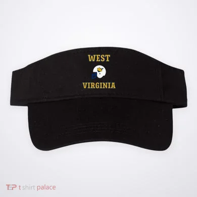 Visor