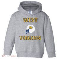 West Virginia Toddler Hoodie thumb 0