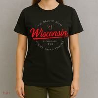 Wisconsin Wi Badger State YouRe Among Friends In Wisconsin T-Shirt thumb 4