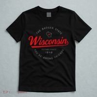 Wisconsin Wi Badger State YouRe Among Friends In Wisconsin T-Shirt thumb 5