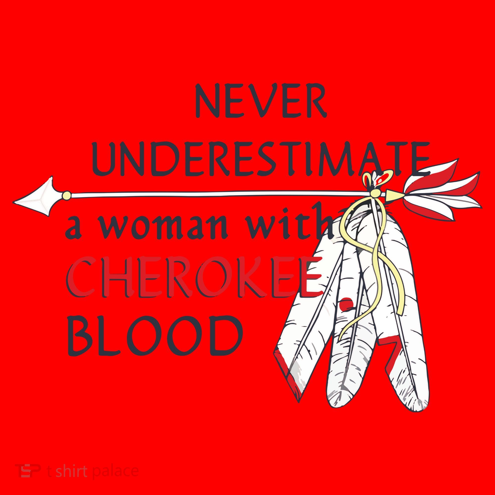 Woman With Cherokee Blood Native American Santa Hat