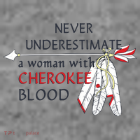 Woman With Cherokee Blood Native American Toddler Hoodie thumb 2