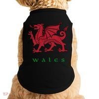 Wales Welsh Dragon Doggie Tank thumb 0