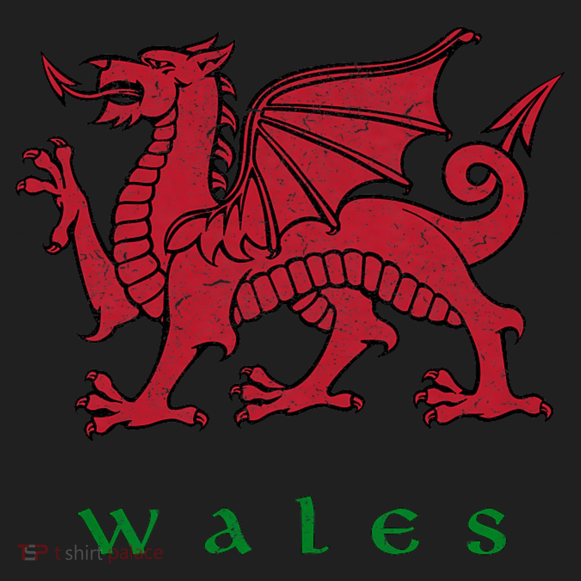 Wales Welsh Dragon Beanie