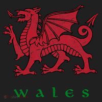 Wales Welsh Dragon Golf Towel thumb 3