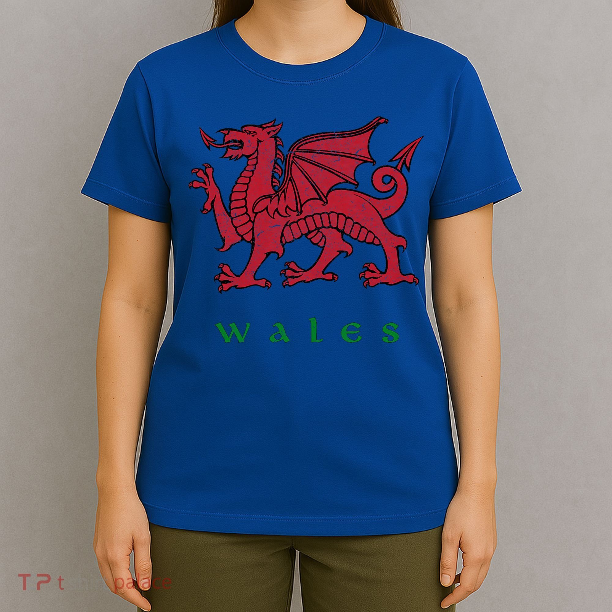 Wales Welsh Dragon T-Shirt