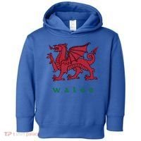 Wales Welsh Dragon Toddler Hoodie thumb 0
