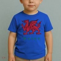 Wales Welsh Dragon Toddler T-Shirt thumb 2