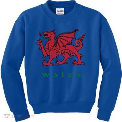Wales Welsh Dragon Kids Sweatshirt