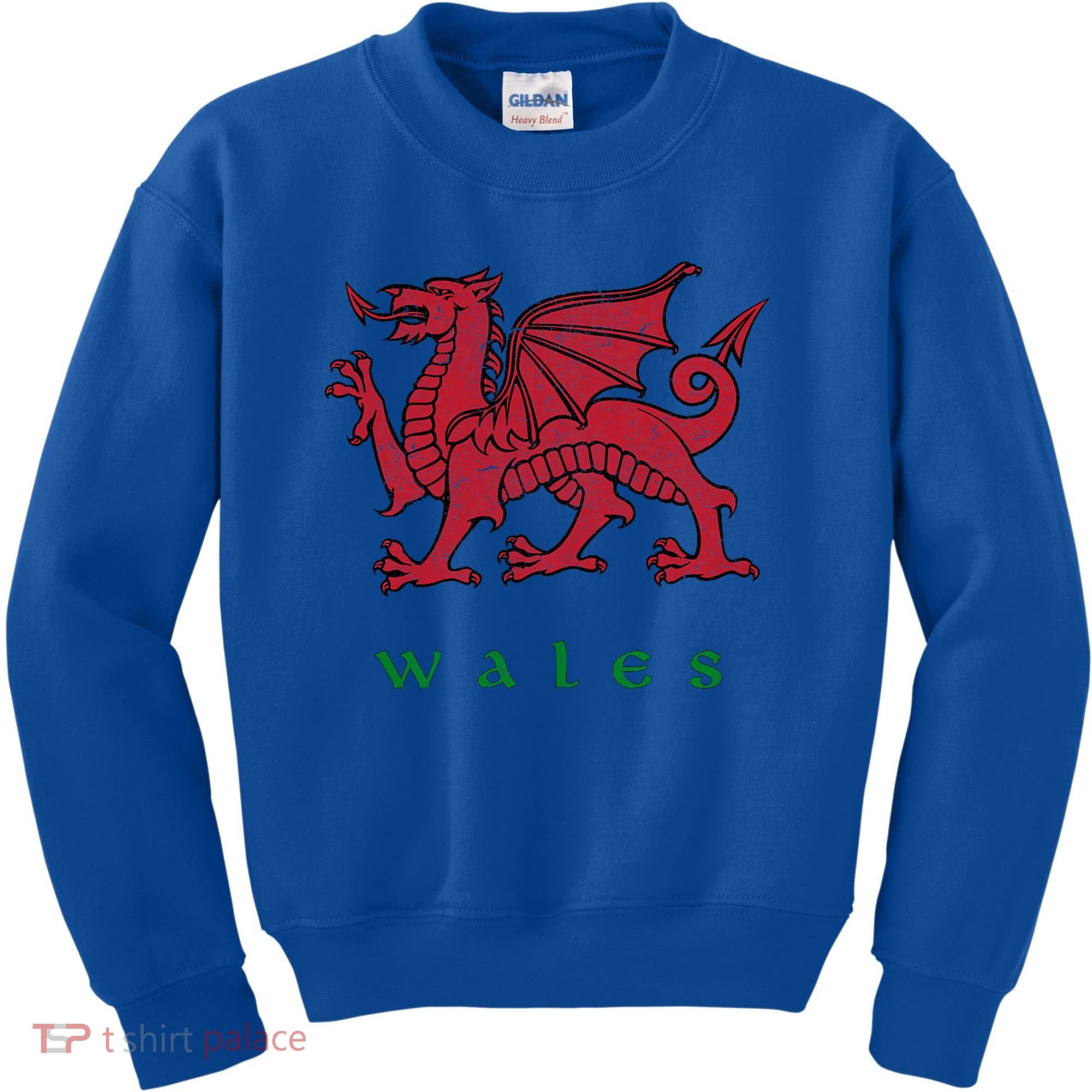 Wales Welsh Dragon Kids Sweatshirt
