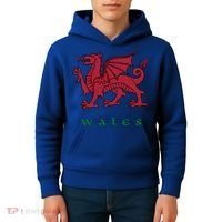 Wales Welsh Dragon Kids Hoodie thumb 4