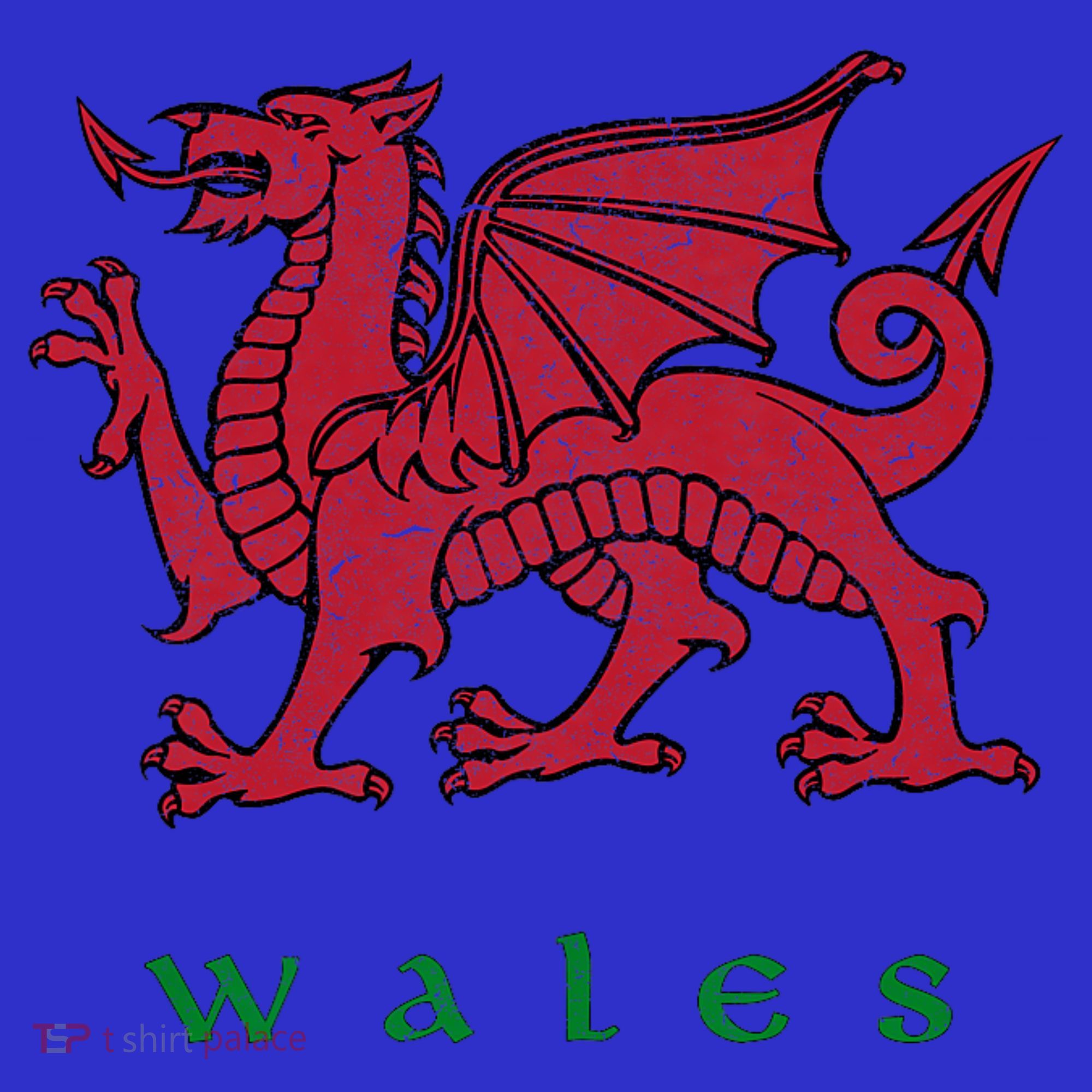 Wales Welsh Dragon Kids Long Sleeve Shirt