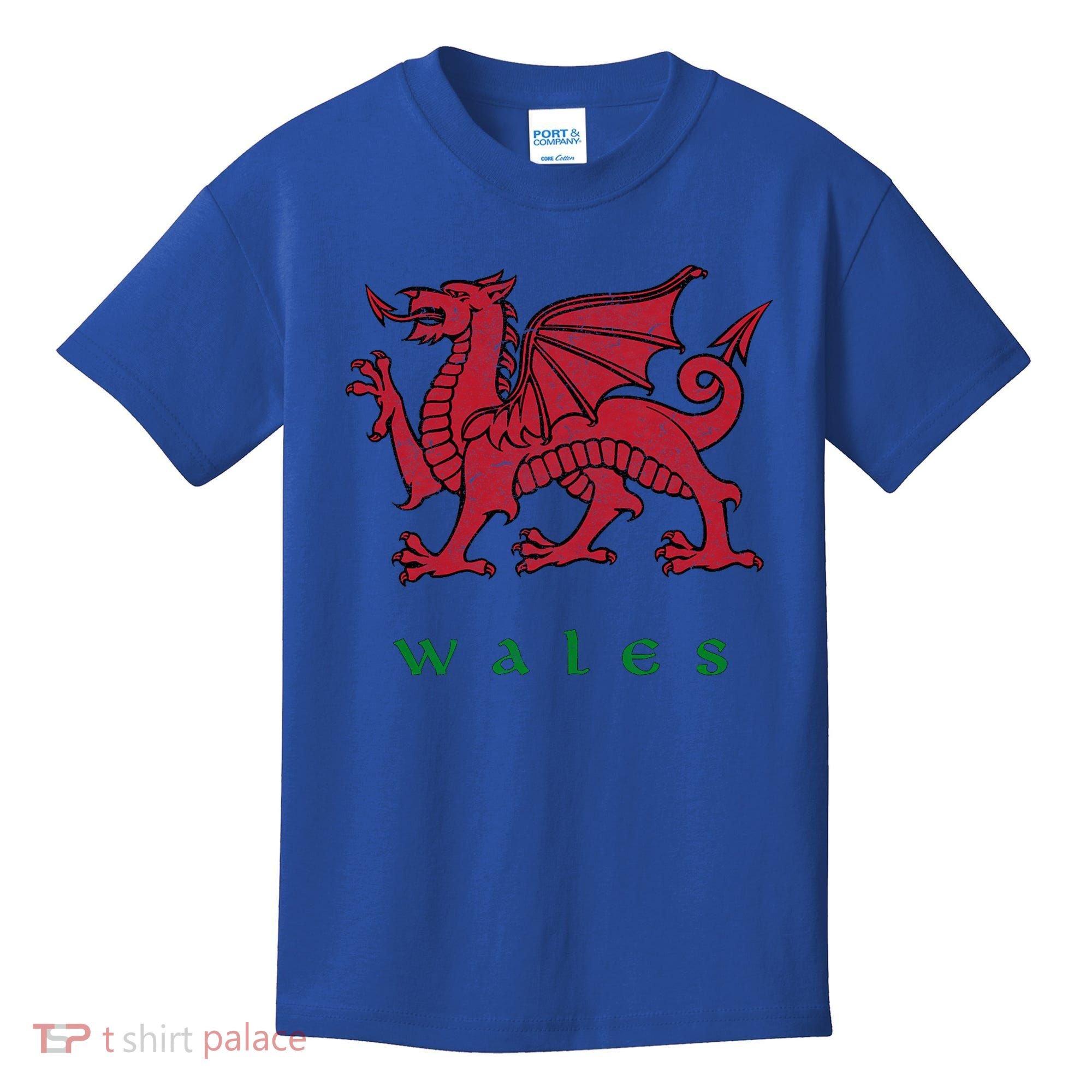Wales Welsh Dragon Kids T-Shirt