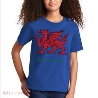 Wales Welsh Dragon Kids T-Shirt thumb 2