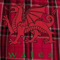 Wales Welsh Dragon Women's Flannel Plaid Pajama Pants thumb 2