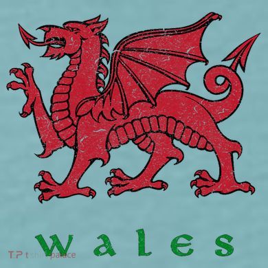 Wales Welsh Dragon Sueded Cloud Jersey T-Shirt