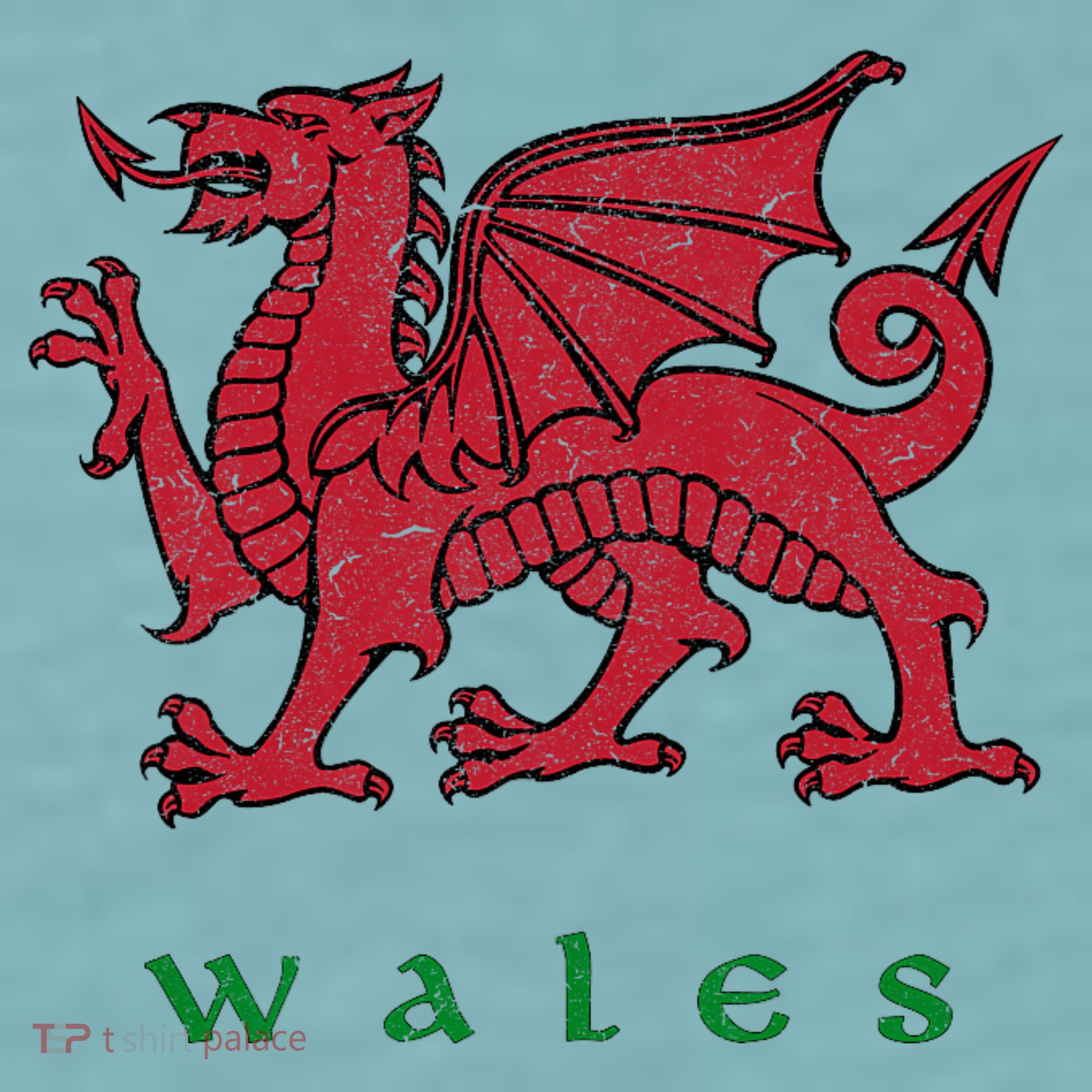 Wales Welsh Dragon Sueded Cloud Jersey T-Shirt