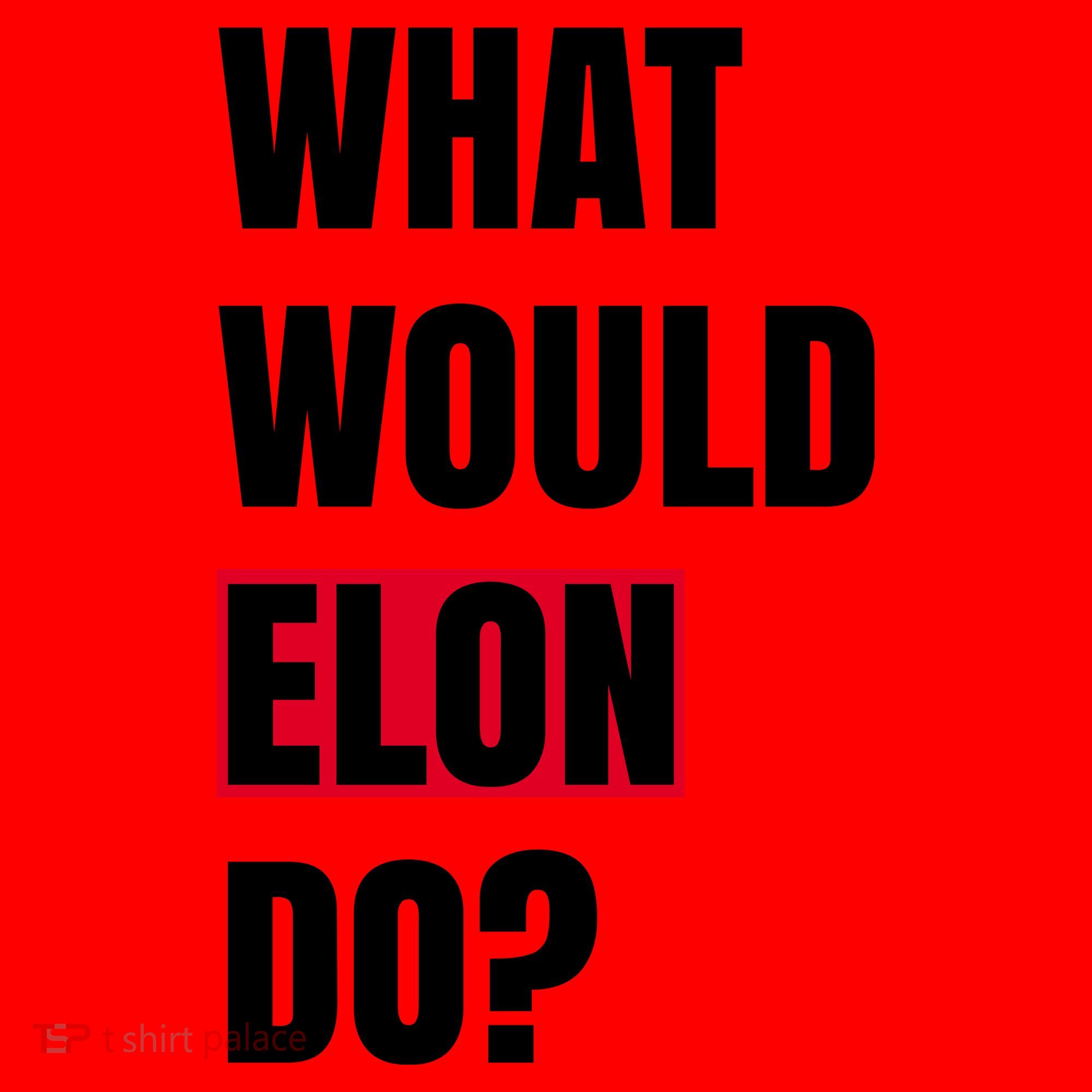 What Would Elon Do Santa Hat