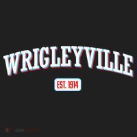 Wrigleyville Wrigleyville Est. 1914 Beanie thumb 2