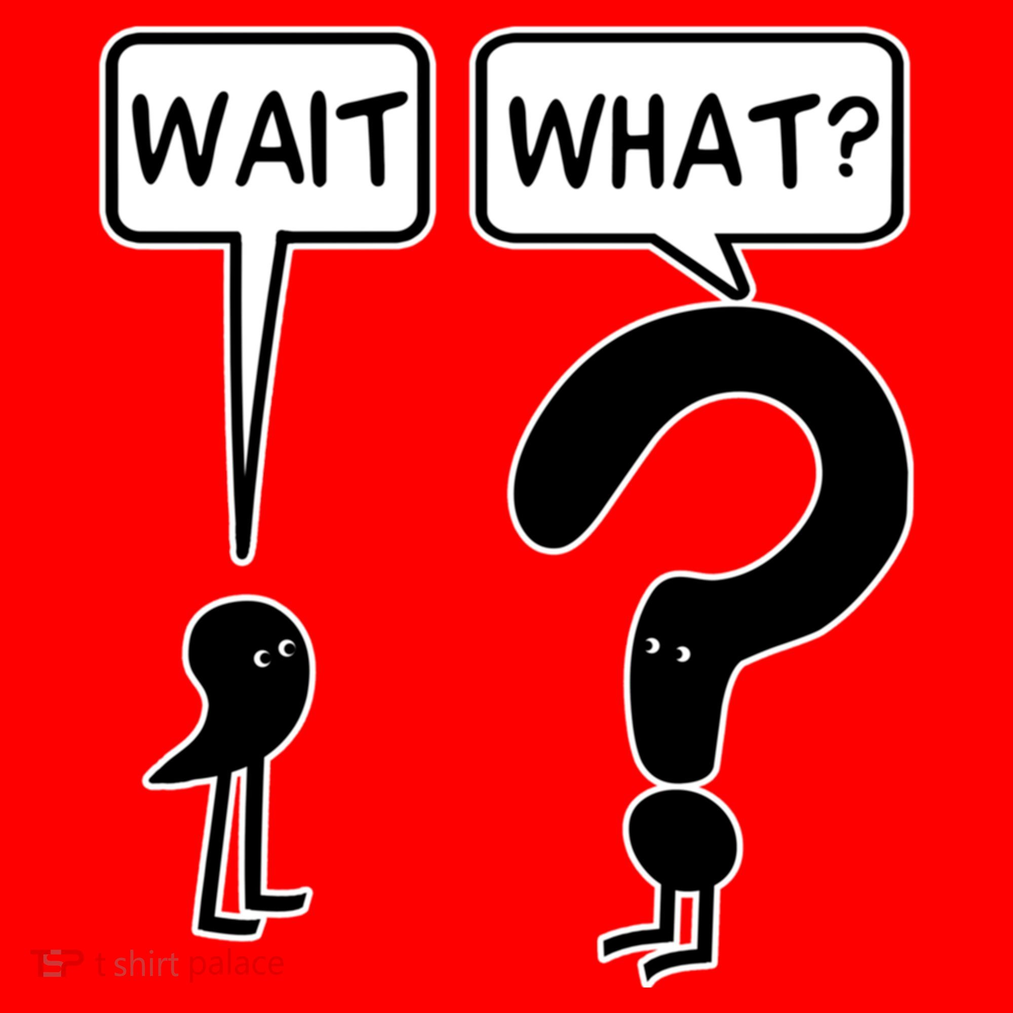 Wait What Funny Grammar Questioning Punctuation Santa Hat
