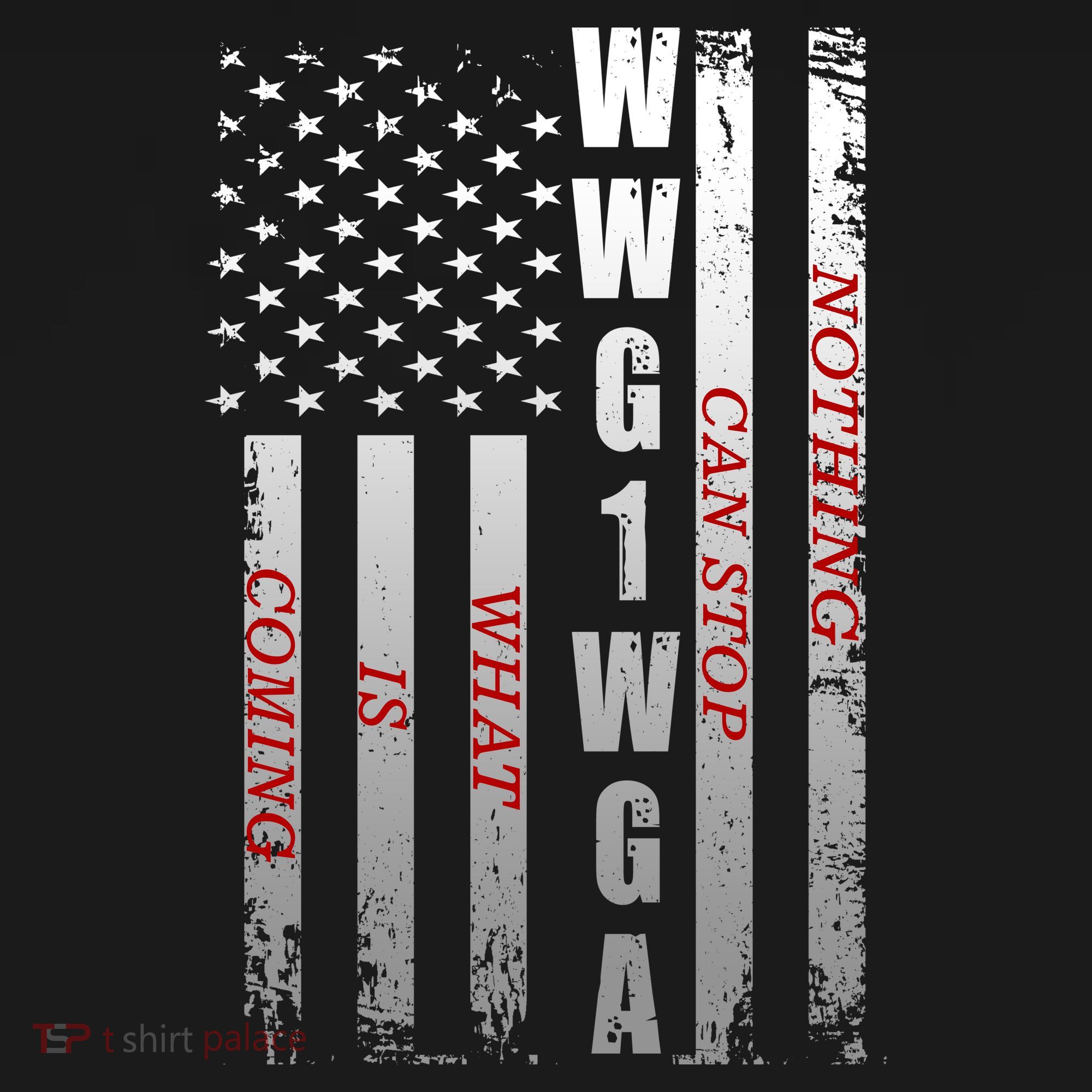 WWG1WGA Nothing Can Stop What Is Coming Coaster