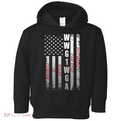 WWG1WGA Nothing Can Stop What Is Coming Toddler Hoodie