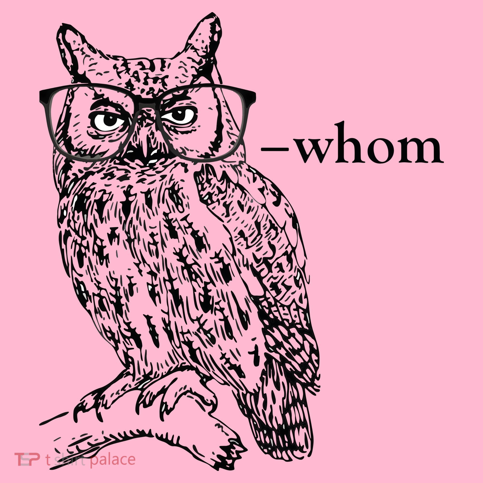 Who Whom Grammar Owl Funny Coaster