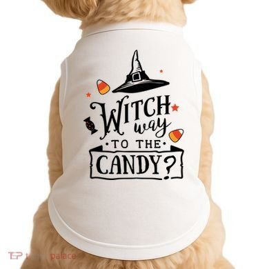 Witch Way Is The Candy Funny Halloween Doggie Tank