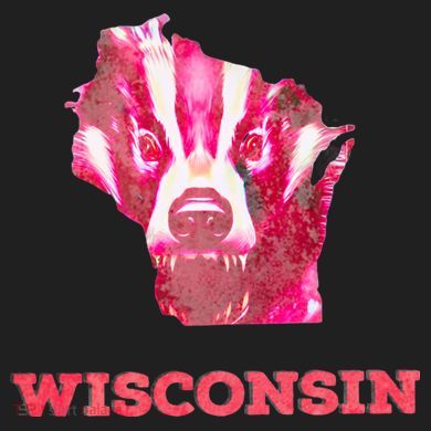 Wisconsin Women's Sweatshirt