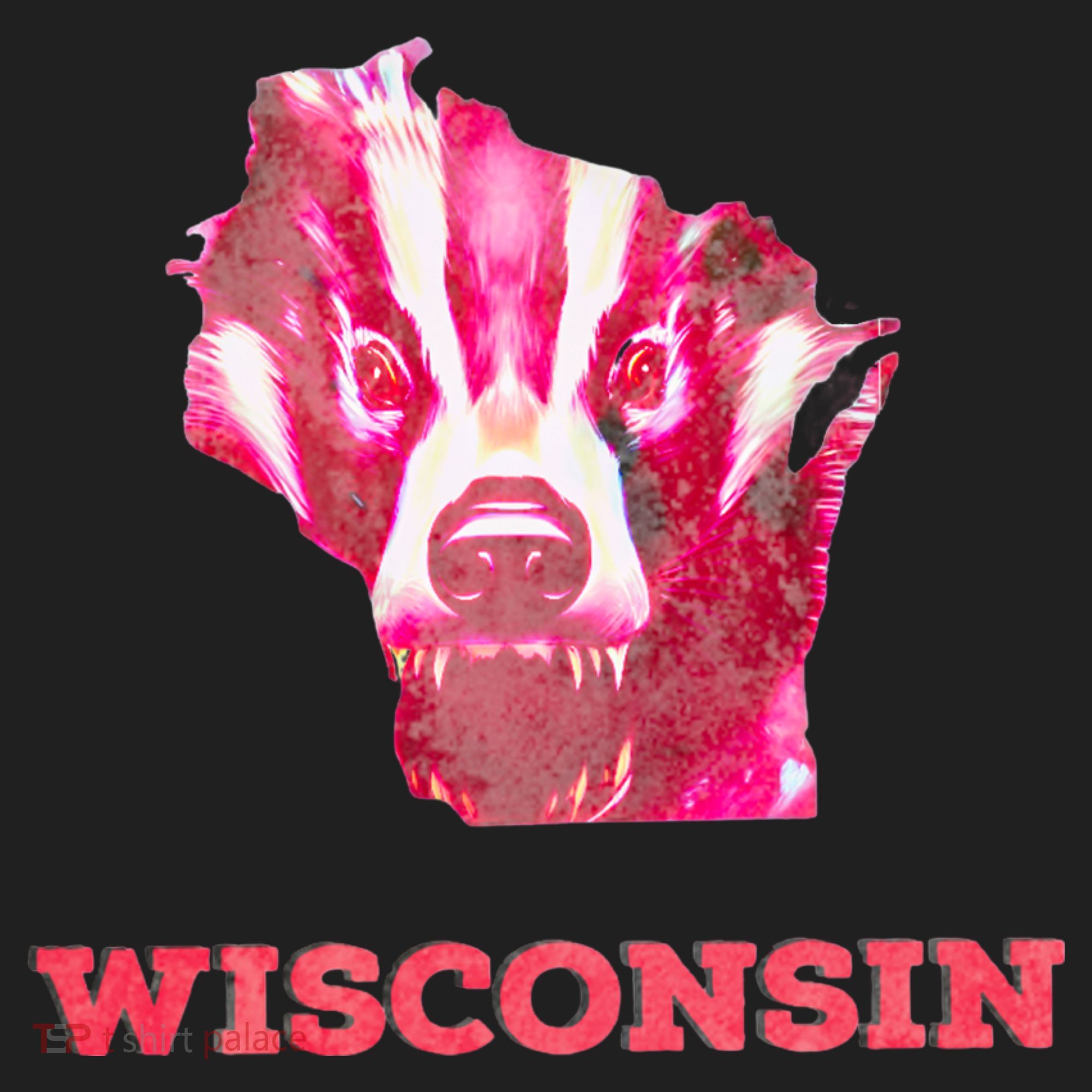 Wisconsin Women's Sweatshirt
