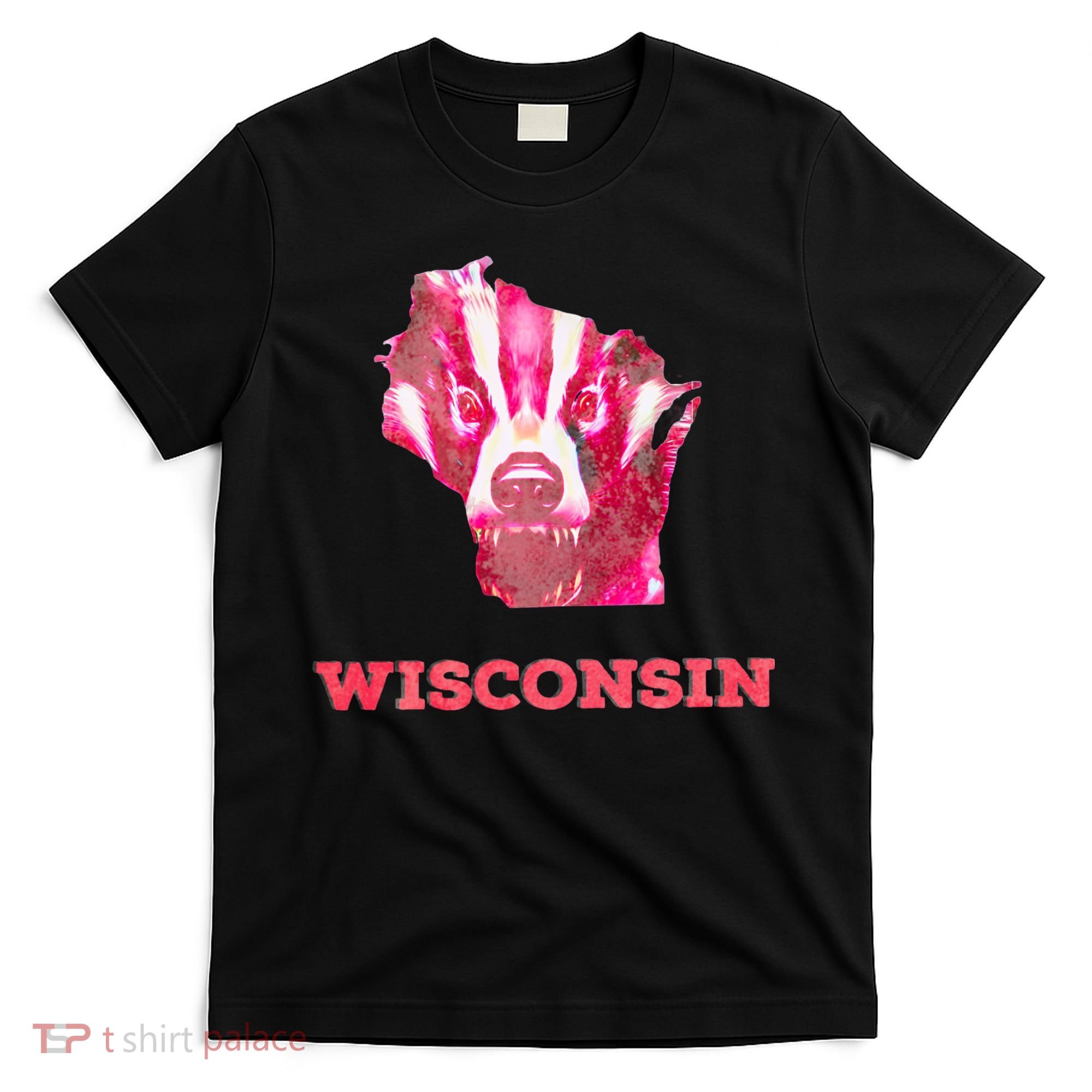 Wisconsin T-Shirt