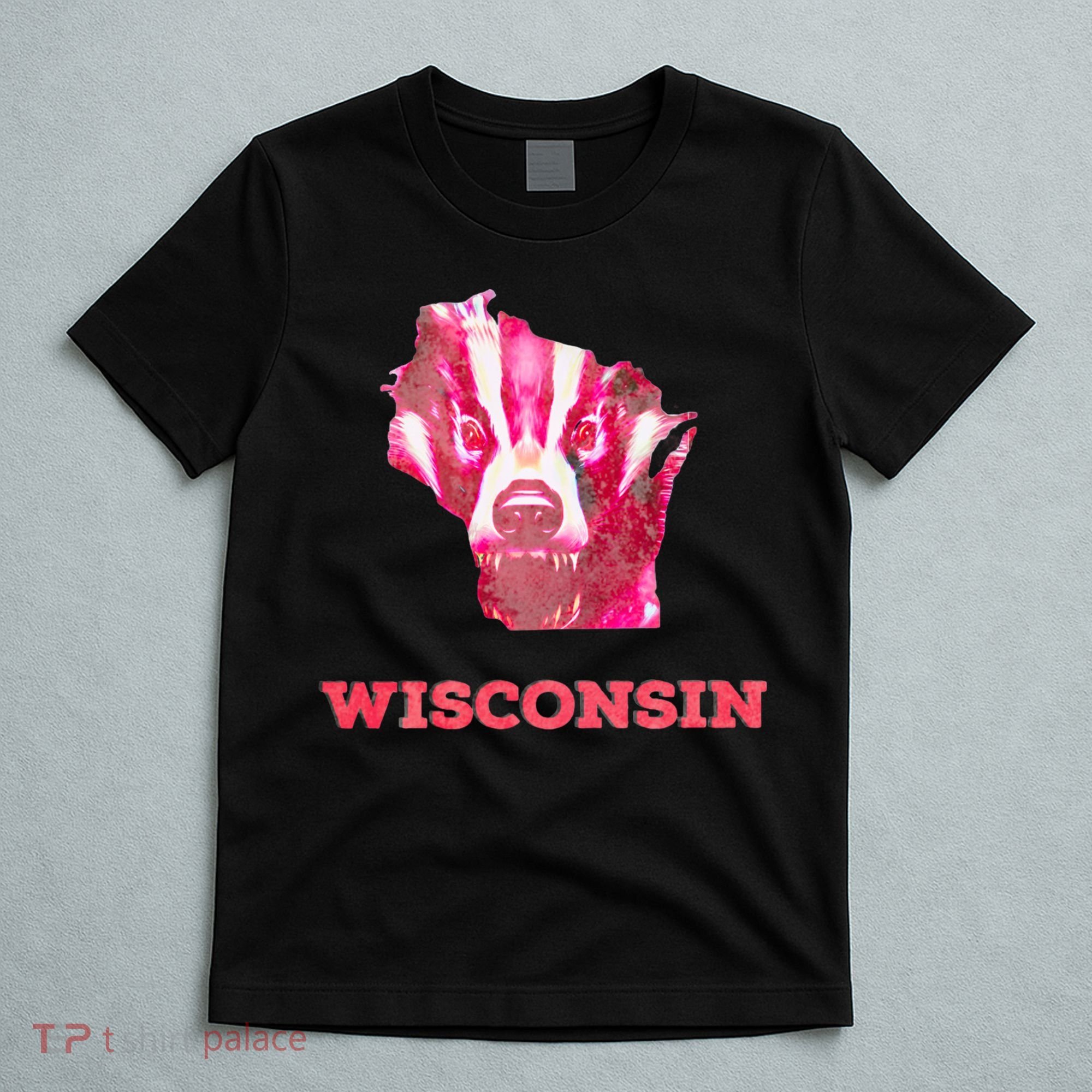 Wisconsin T-Shirt